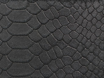 Nahaufnahme Oberfl�che Python-Leder