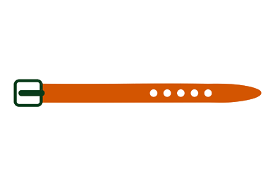 Abbildung G�rtel Orange als Icon