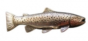 Ansteckpin Forelle Metall 2 cm Angler Ansteckpin Forelle Metall 2 cm Angler