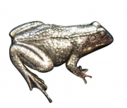 Ansteckpin Frosch Metall 2 cm Natur Ansteckpin Frosch Metall 2 cm Natur