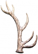 Ansteckpin Geweih Zwölfender Metall 2 cm Jagd Ansteckpin Geweih Zwölfender Metall 2 cm Jagd