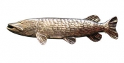 Ansteckpin Hecht Metall 2 cm Angler Ansteckpin Hecht Metall 2 cm Angler