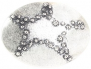 G�rtelschnalle Hidden Star 4,0 cm