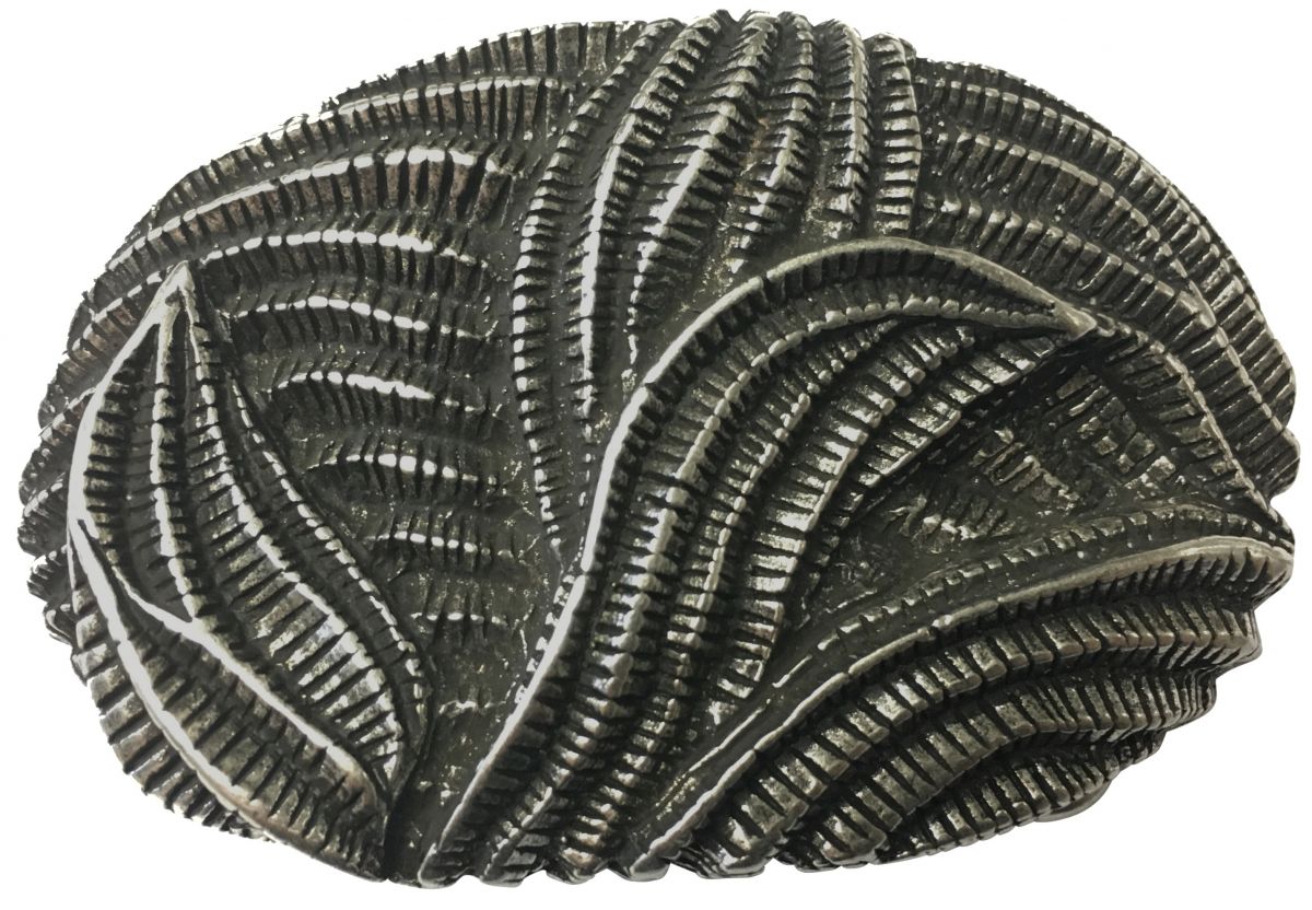 G�rtelschnalle Folio 4,0 cm