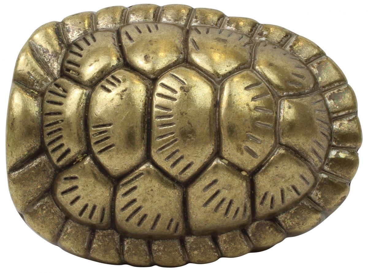 G�rtelschnalle Turtle Shell 4,0 cm