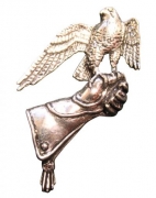 Ansteckpin Hand mit Falke