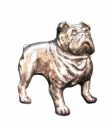 Ansteckpin Bulldogge