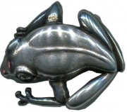 G�rtelschnalle Frog 2,0cm