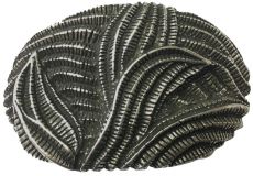 Gürtelschnalle Folio 4,0 cm Silber