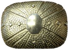 Gürtelschnalle Dotted Shell 4,0 cm Oro vecchio