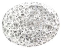Gürtelschnalle Crater 4,0 cm Silber
