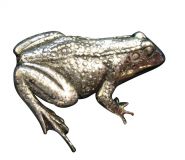Ansteckpin Frosch Altsilber