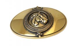 Gürtelschnalle Equum 2,5cm Gold